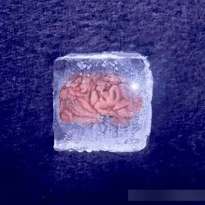 復旦大學有研究團隊成功復活冷凍了18個月的人腦組織。網圖
