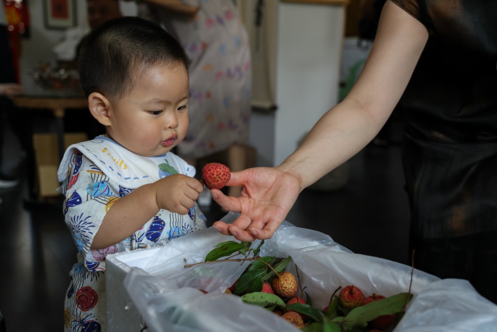 广东果农预告今年荔枝价格或大涨。新华社
