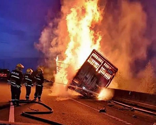 山東一輛運豬貨車遇事燃燒起火,車上近百隻豬活活燒死。網圖