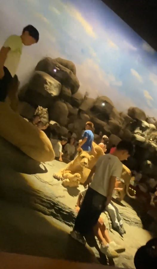 上海自然博物館有展台被熊孩子集體闖入。抖音