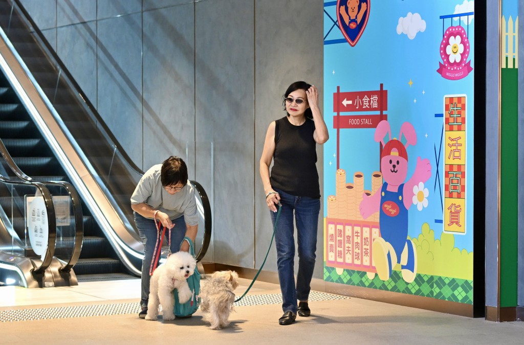 進入餐廳的狗隻須以長度不超過1.5米的牽引帶控制。