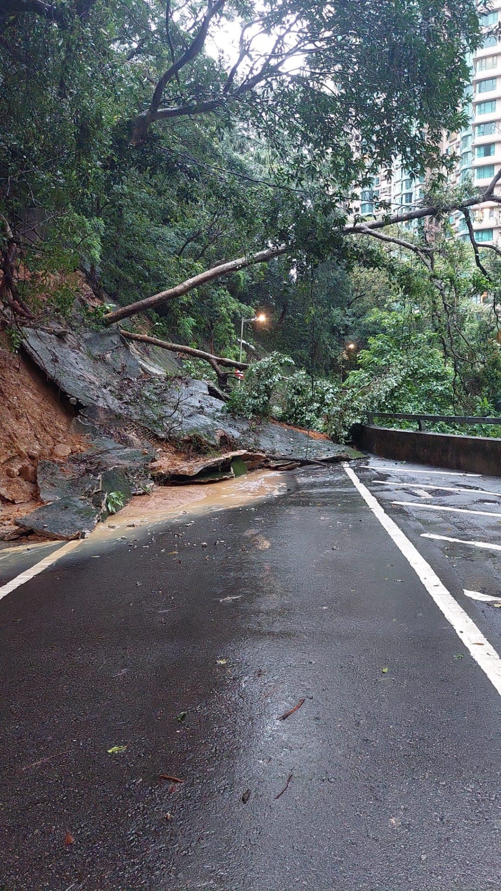 中半山地利根德閣對開馬路亦見山泥傾瀉情況。土力場FB圖片