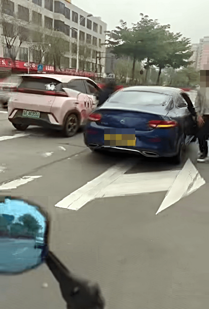 平治與比亞迪電動車停在路中。fb：港車北上自駕遊同樂會