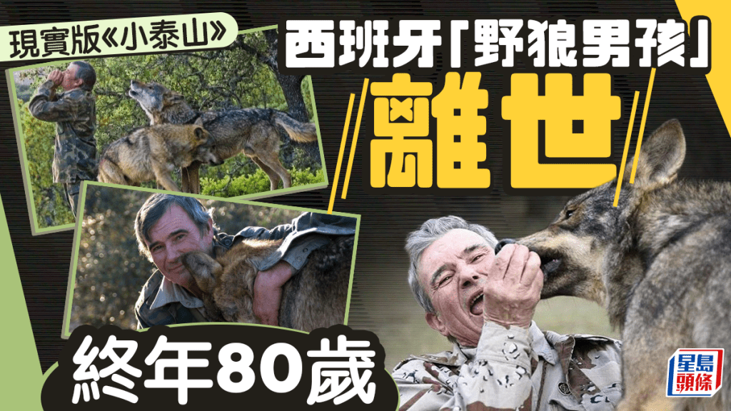 真人《小泰山》｜西班牙「野狼男孩」潘托亞終年80歲 曾與狼群共處12年