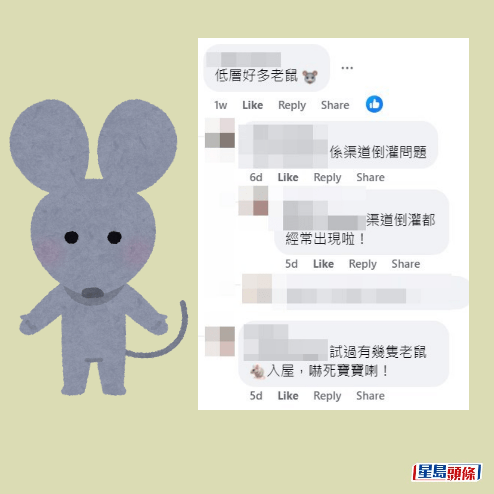 網民：低層好多老鼠。「公屋討論區 - 香港facebook群組」截圖