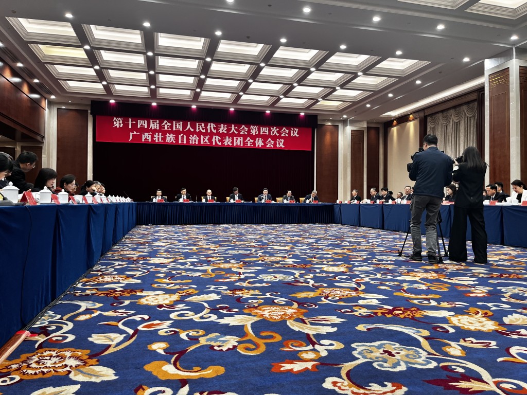 廣西壯族自治區代表團今日（6日）舉行全體會議。