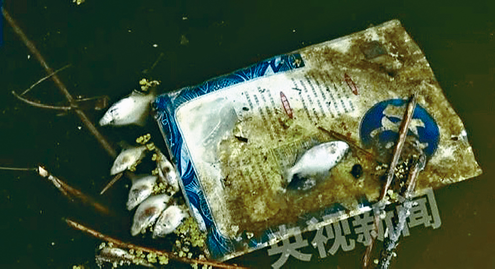 滁河南京浦口段被嚴重污染，出現大量死魚。