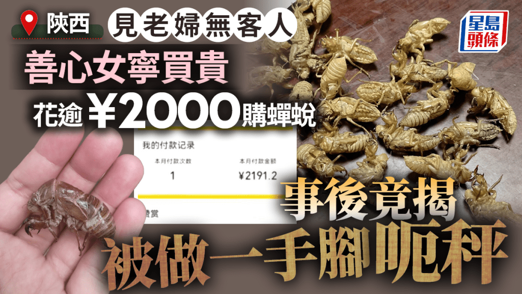 壞人變老—善心女寧買貴向阿婆收購蟬蛻 結果被做一手腳呃秤