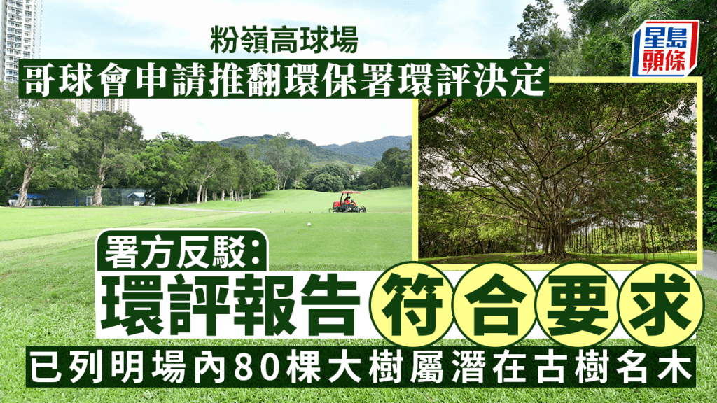 粉嶺高球場|署方指環評報告列明場內80棵大樹屬潛在古樹名木 稱報告符合要求