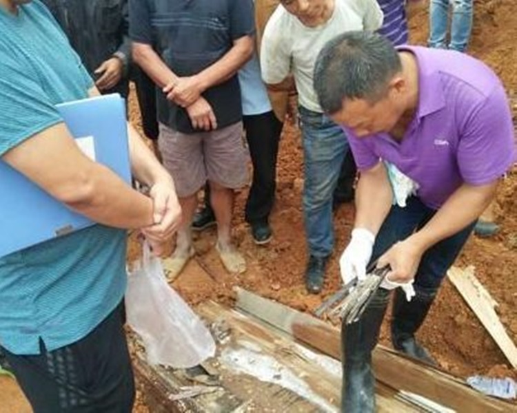 男屍能保存完整，估計與棺木的材質以及墓屋有關。網圖