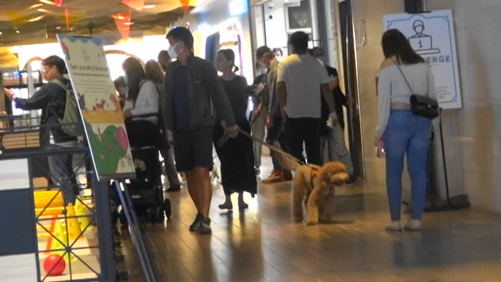 林海峰拖住Millie，但狗狗掛住行去聞啲街坊。