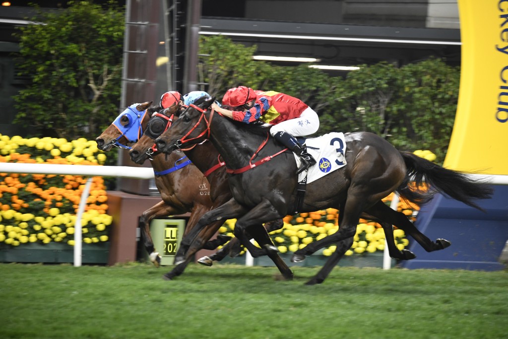 布文在第六場策騎羅富全馬房的「開心高球」贏得今晚第四場頭馬。