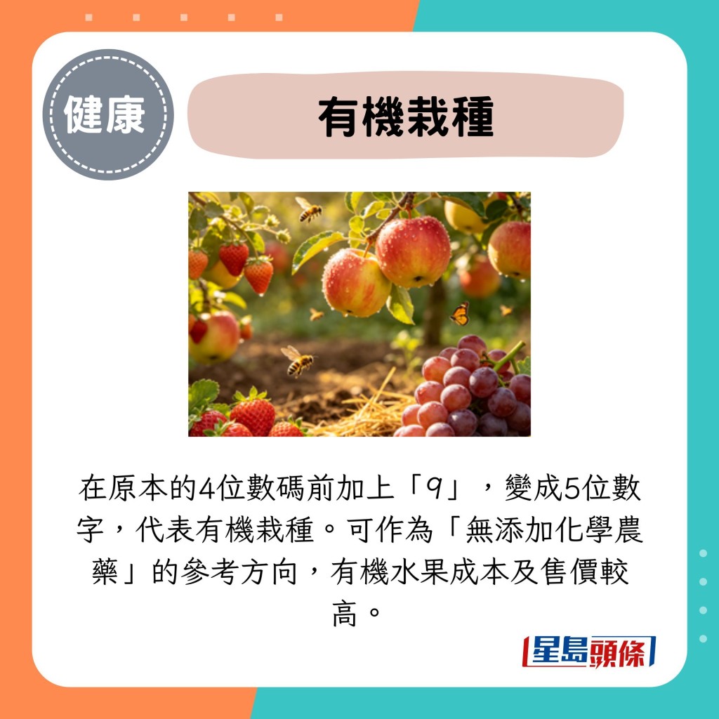 有机栽种