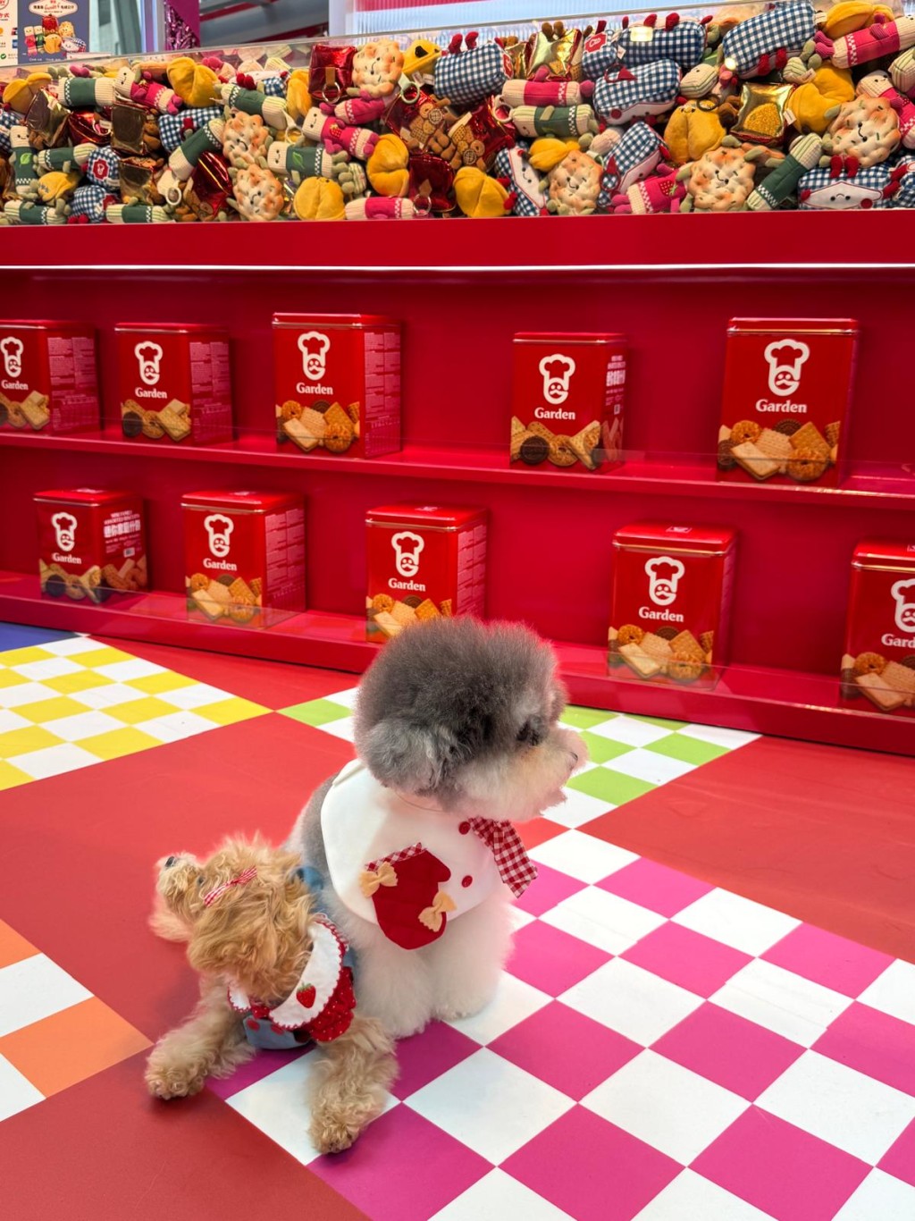 （图片来源：《亲子王》）