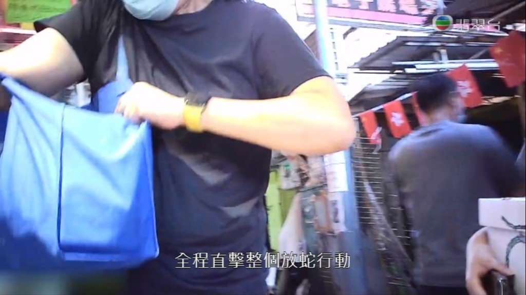 捐出物資的善心人曾多次問她可否「去睇吓貓」都遭拒絕。(電視截圖)