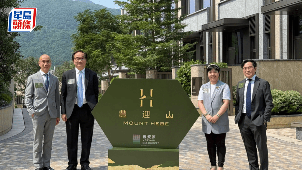 丰资源西贡豪宅盘命名丰迎山 设51座洋房短期内招标推