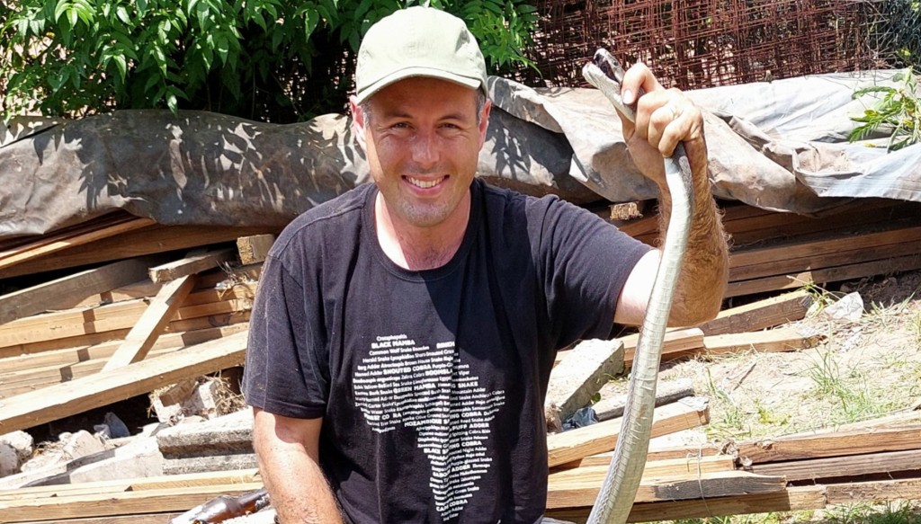 伊凡斯貼出捉到黑曼巴的相片。(Nick Evans- Snake Rescuer@facebook)