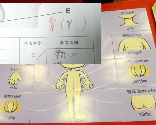 港媽求教到底「睪」抑或「睾」丸才對。網民‎Abby Lau‎ 圖片//資料圖片