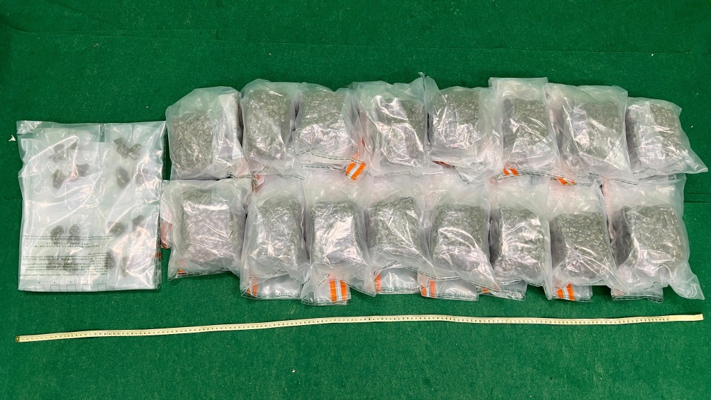 第二宗案件中檢獲的懷疑大麻花。政府新聞處圖片 第二宗案件中檢獲的懷疑大麻花。政府新聞處圖片