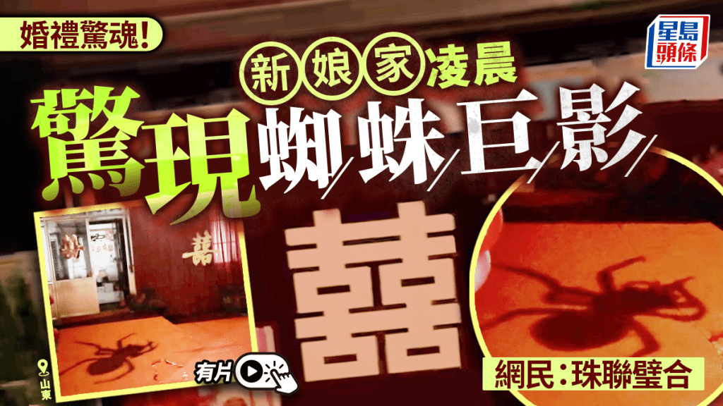 山東新娘家凌晨驚現蜘蛛巨影 網友：喜蟲天降｜有片