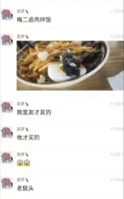 有关华北理工饭堂食出鼠头，疑似学生的聊天纪录流出。