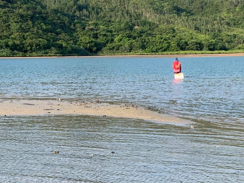 大媽撈海星。Tai Po大埔FB