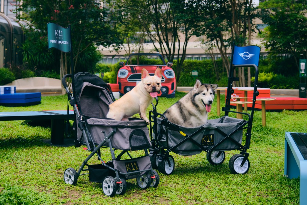 K11 MUSEA提供宠物手推车免费借用予携带宠物的访客，全新宠物手推车饰有MINI 旗帜，具备小、中、大三个尺寸。