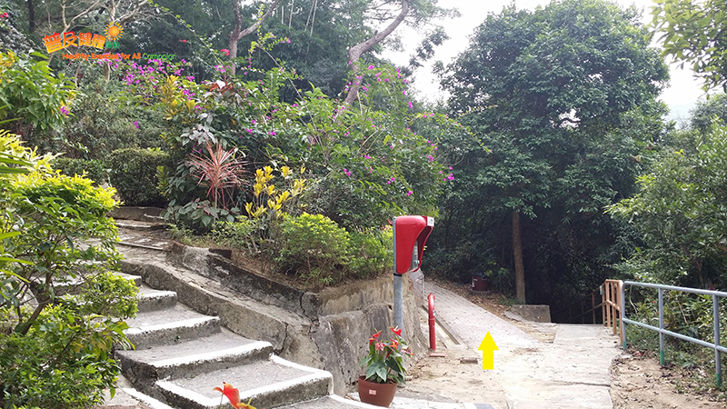 金督園分岔路