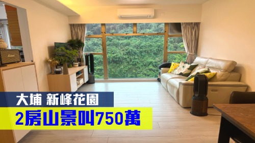 新峰花園4期31座高層B室,實用面積511方呎,現以750萬放售。