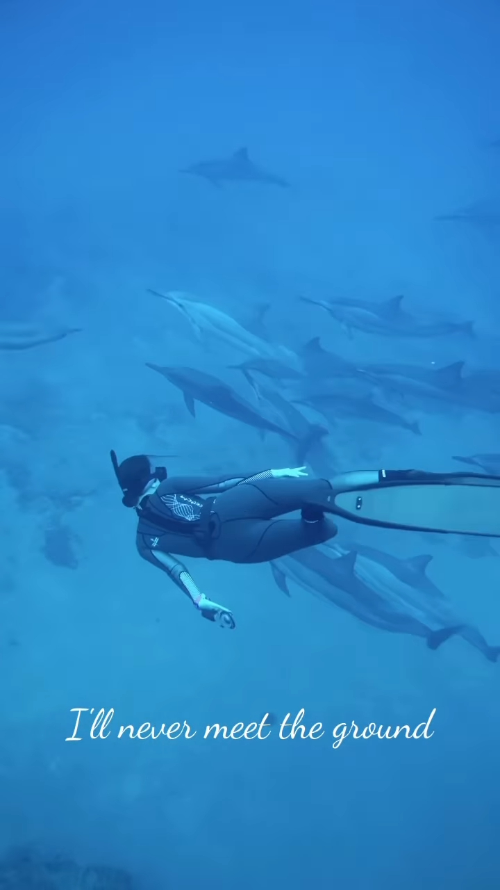 李施嬅潜水时看到很多海豚。