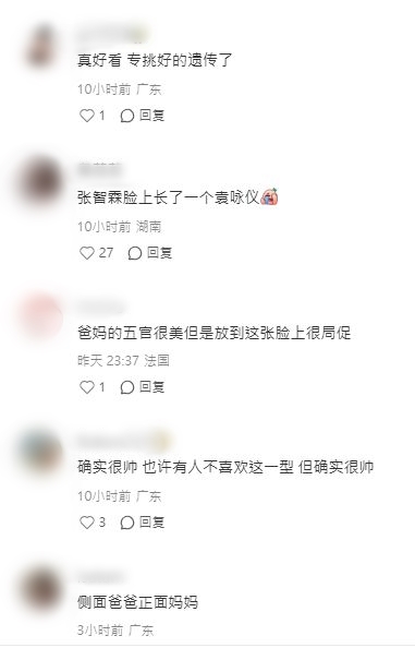 張智霖 張智霖
