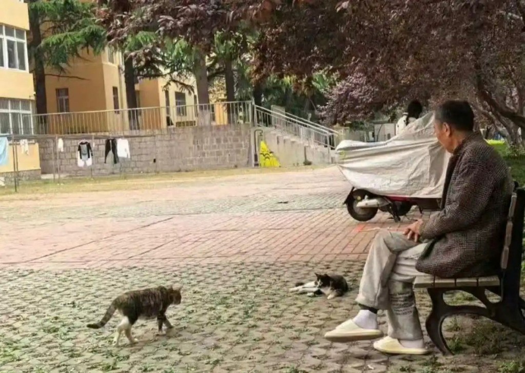 网传该名宿舍管理员照片。微博@小轼的世界 网传该名宿舍管理员照片。微博@小轼的世界