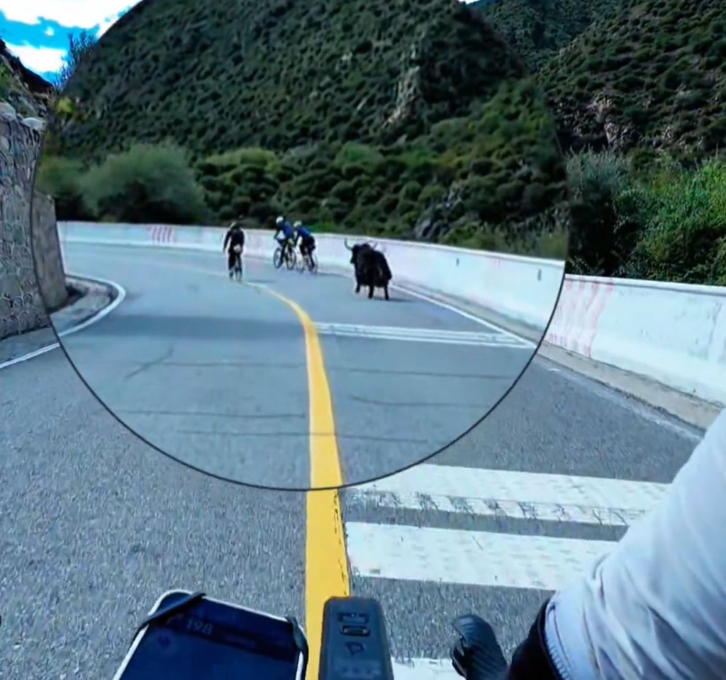 有在西藏騎單車旅行的車友遭氂牛狂追3分鐘。抖音@逸游