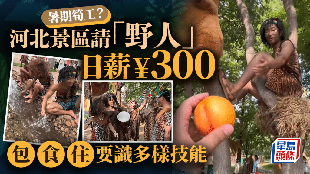 暑假筍工︱河北景區日薪¥300請「野人」 逾200大學生爭1空缺