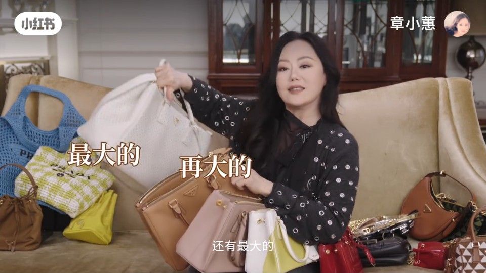 章小蕙擁有大中細不同款的Galleria包包。