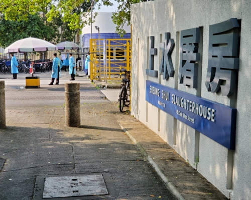 上水屠房有員工初步確診。資料圖片