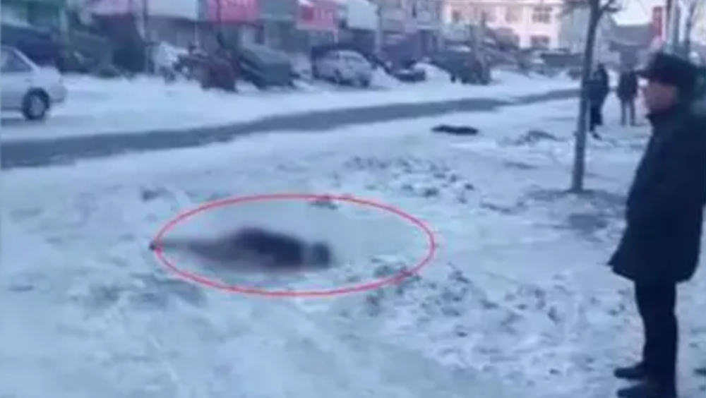 东北暴雪，疑有男子在黑龙江冻死街头，距家口才10多米远。