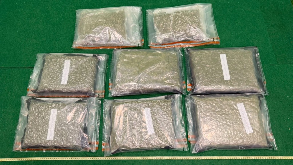 首宗案件檢獲的8公斤懷疑大麻花。