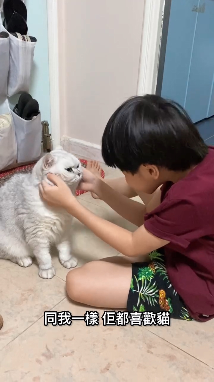 兩姊弟一樣鍾意貓。