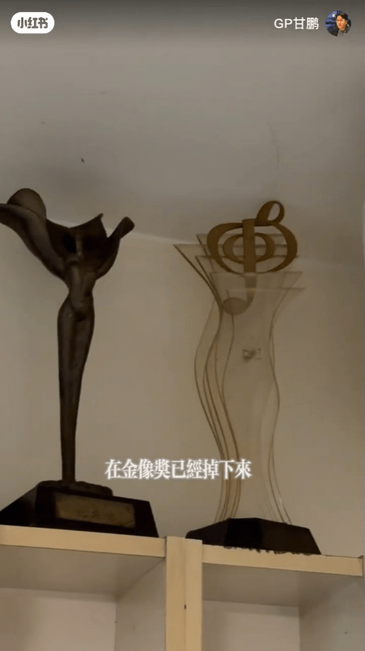 劉雅麗自揭1995年憑《我和春天有個約會》奪得的金像獎「最佳新演員」獎座早已摔爛。