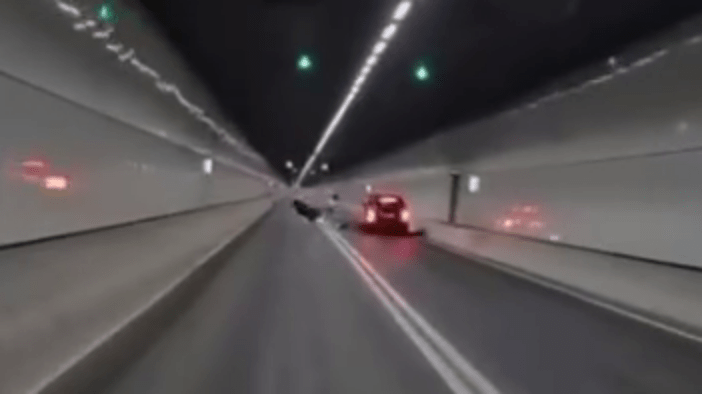 鐵騎士似乎未留意到前車，徑直撞向私家車左邊車尾。FB：Wai Hung Tsang@車cam L（香港群組）
