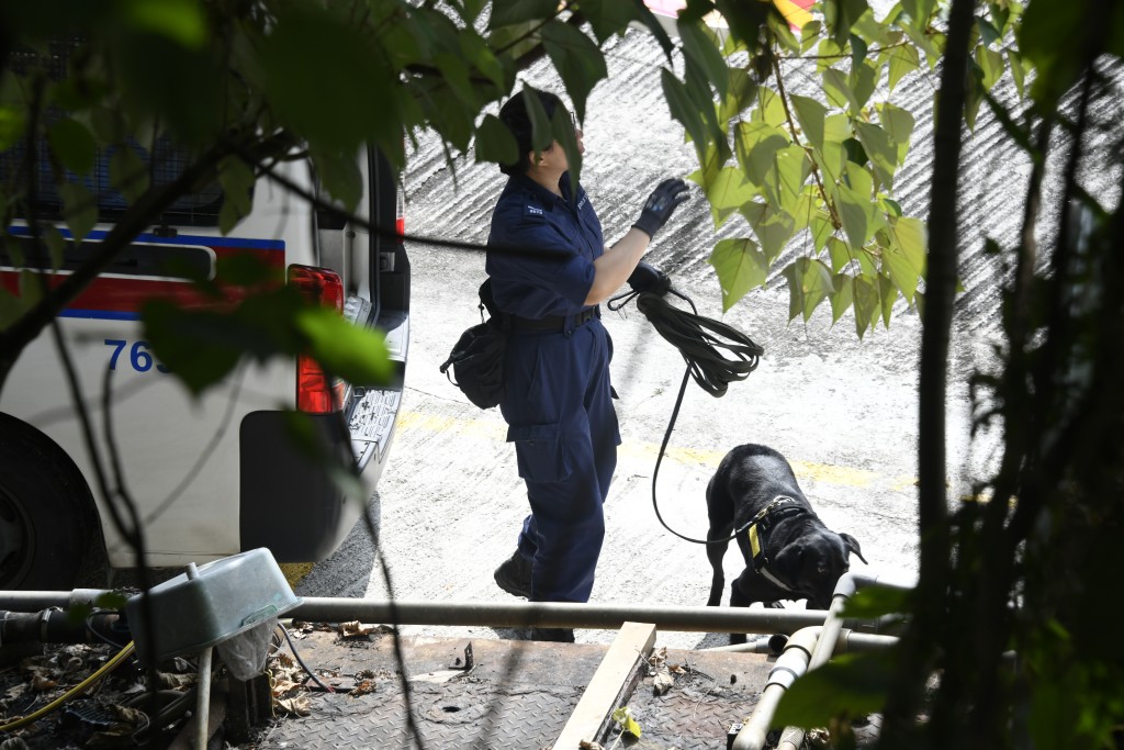 警犬隊到場搜索賊蹤。