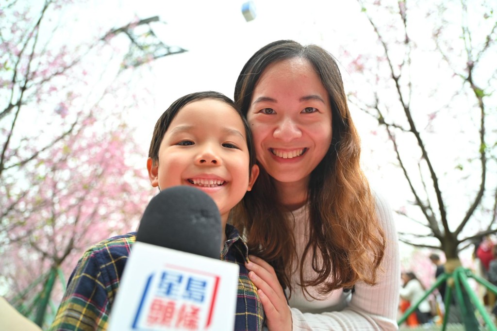 今年5歲的張小朋友第一次看見櫻花。鍾健華攝