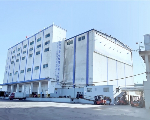 大連首宗病例是「大連凱洋食品有限公司」的員工。(網圖)