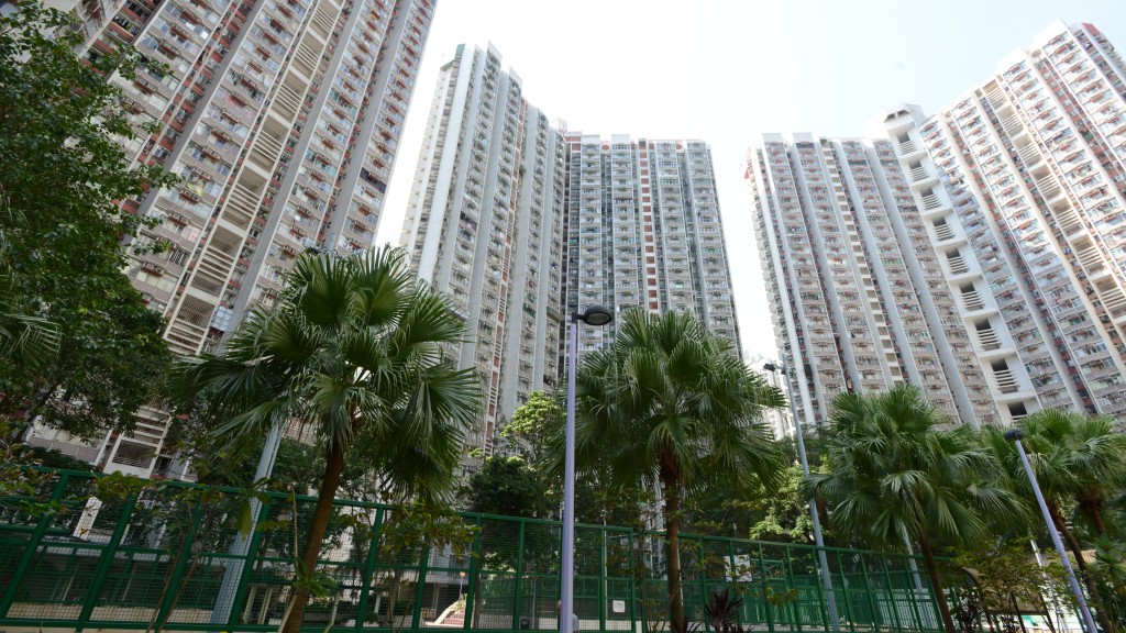 漁護署十日兩赴竹園北邨捉野豬 遷走1成年雌豬及4幼豬 