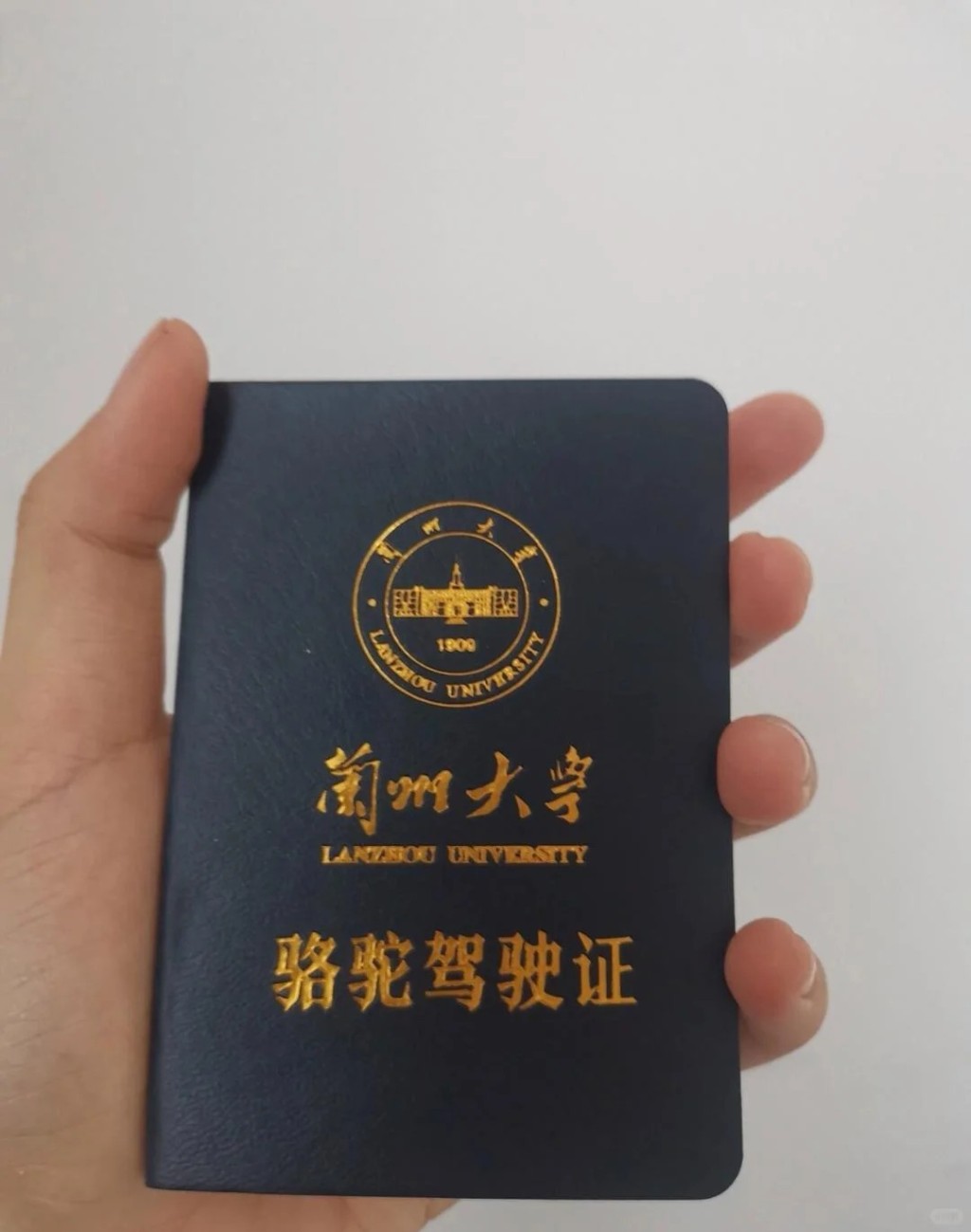蘭州大學的駱駝駕駛證。小紅書@奈落。 蘭州大學的駱駝駕駛證。小紅書@奈落。
