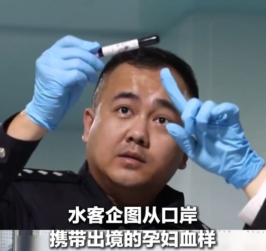 廣佛深同步執法，破獲走私孕婦血樣本到境外的組織。央視