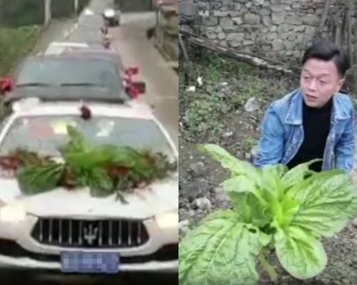 贵州新郎的花车饰物掉落，他临时以路边大白菜顶替。网图。