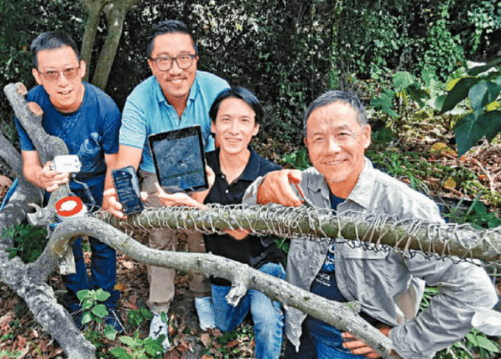 在沉香树加上保护网，连接传感器以作监测。