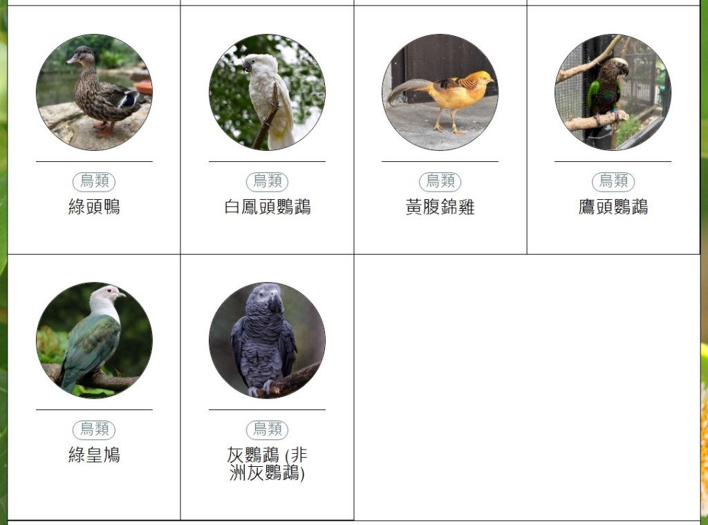 香港動植物公園動物圖鑑。「香港動植物公園」官方網站截圖 香港動植物公園動物圖鑑。「香港動植物公園」官方網站截圖